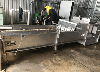 Auto seedling Tray & Frame washer