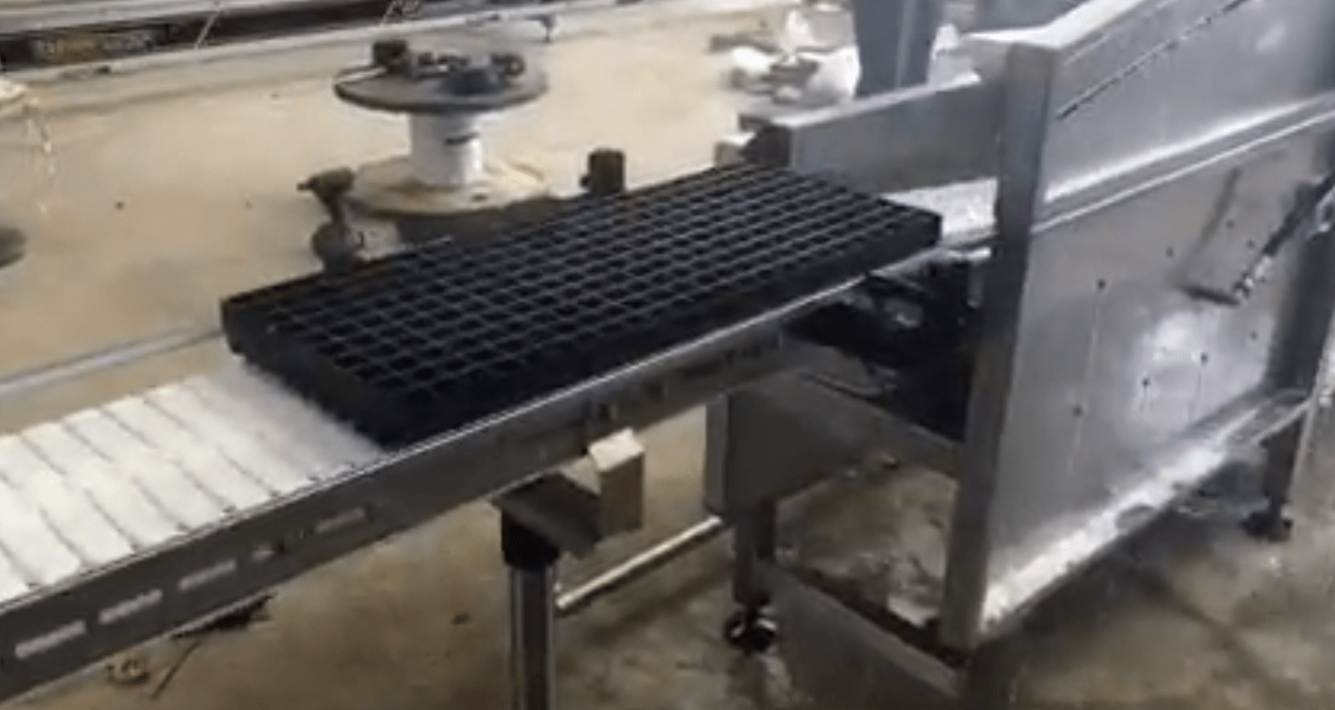 seedling tray washer